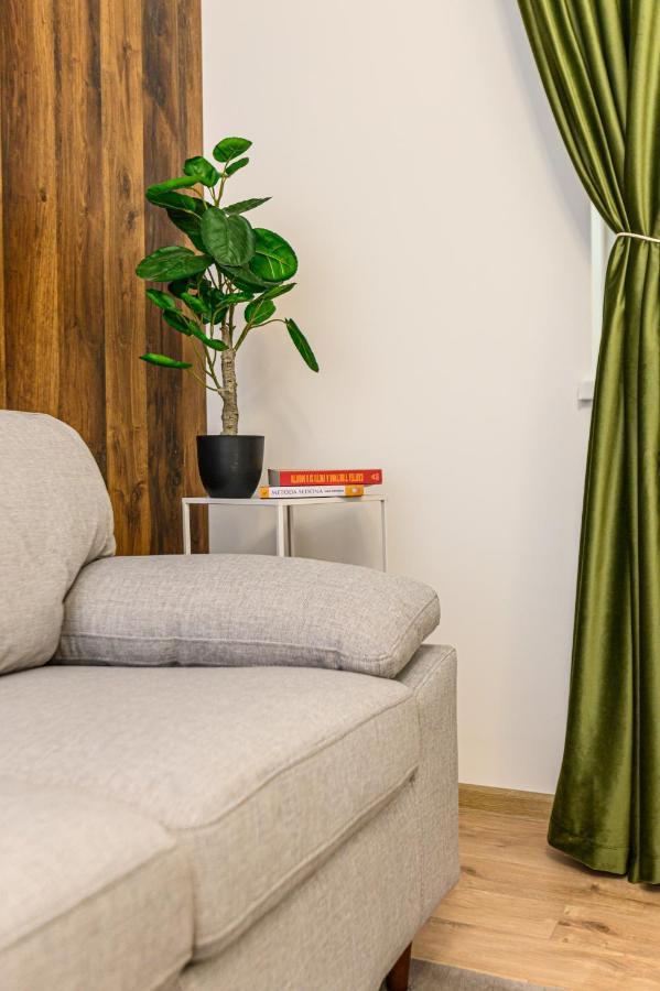Green Wood Apartment Brasov Bagian luar foto